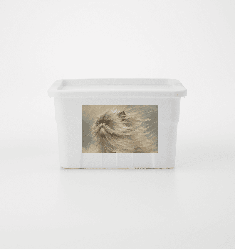 潦草貓咪 — 收納箱